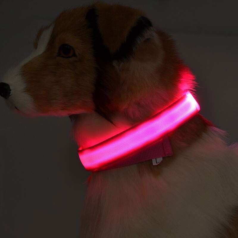 LED 發光寵物項圈
